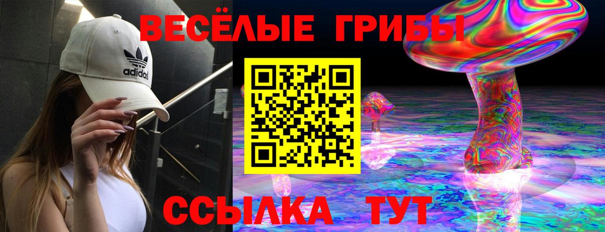 ГАШ Назрань