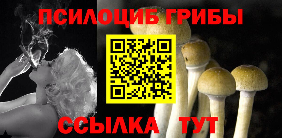 Назрань  Псилоцибиновые грибы Cubensis  Псилоцибиновые грибы мицелий  Вход с VPN 